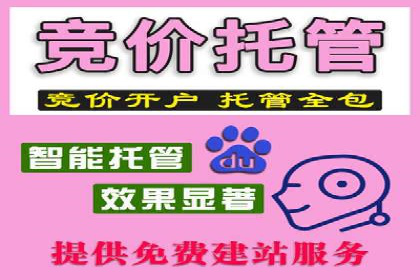 SEM竞价代运营公司助力中小企业快速成长